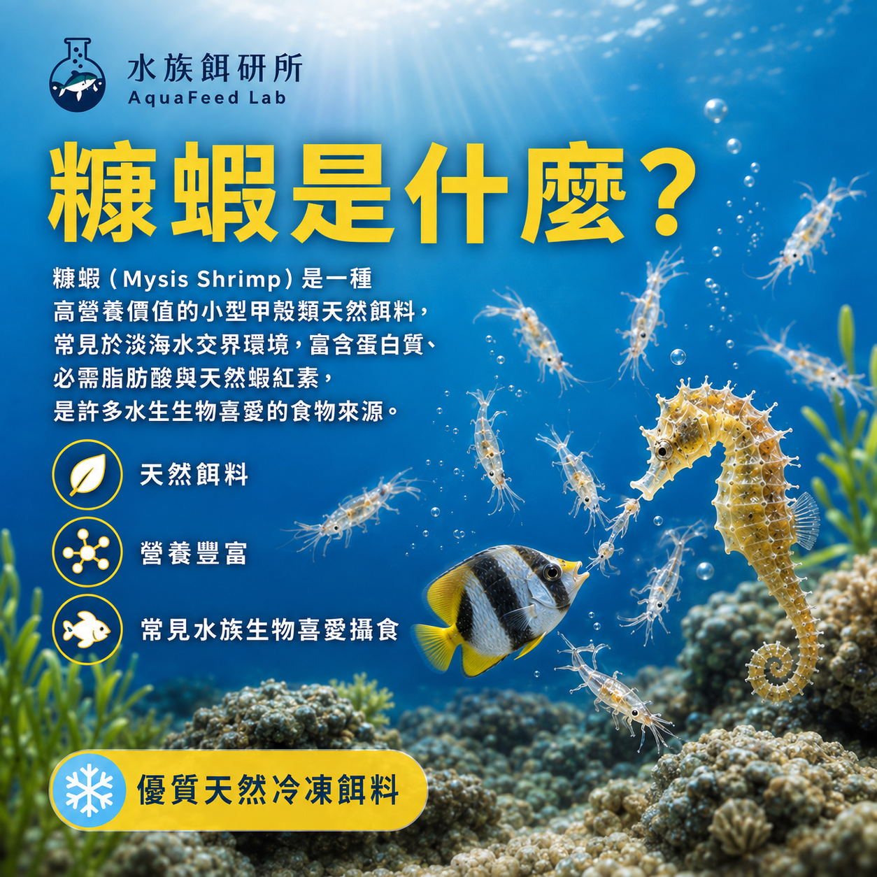 商品詳細說明圖片
