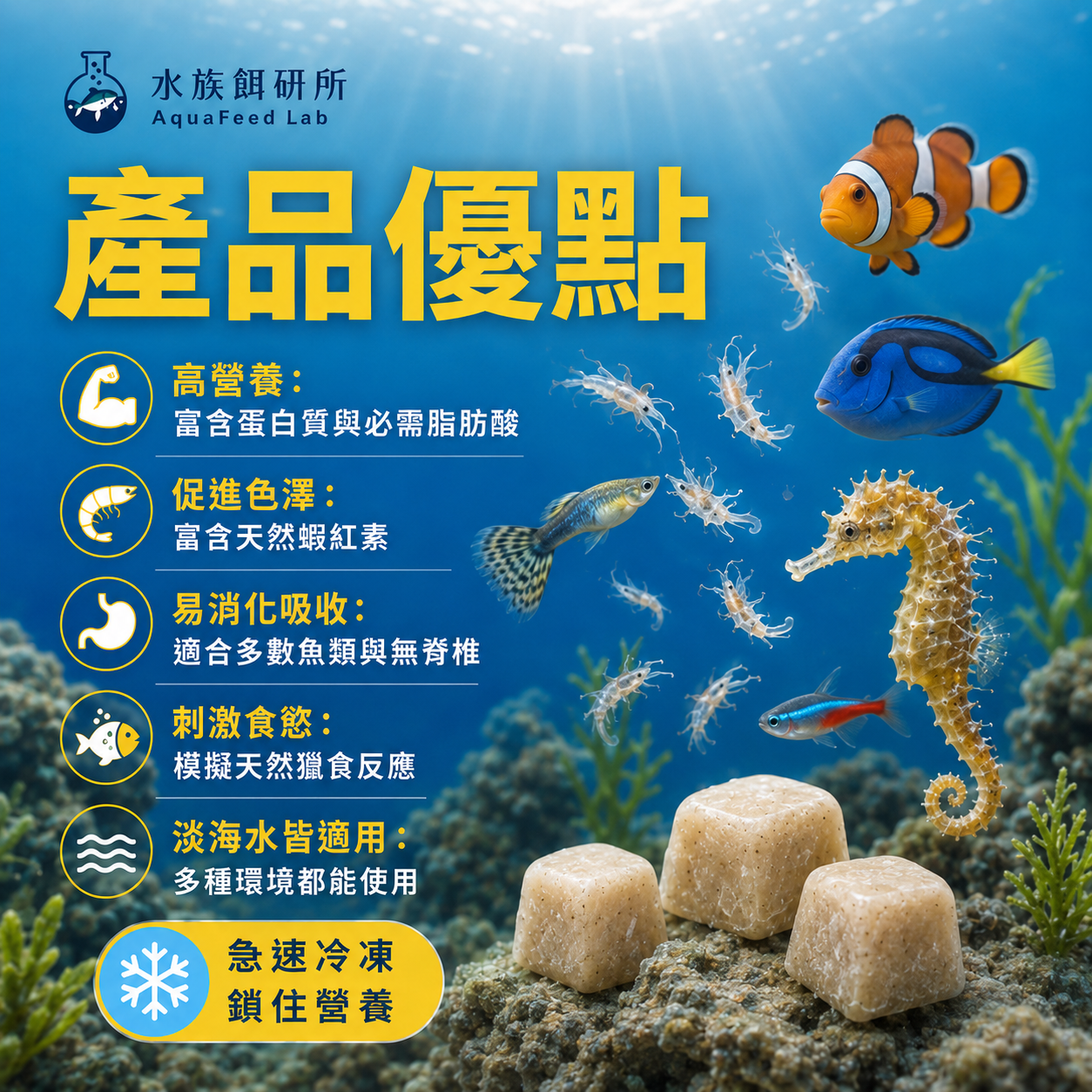 商品詳細說明圖片