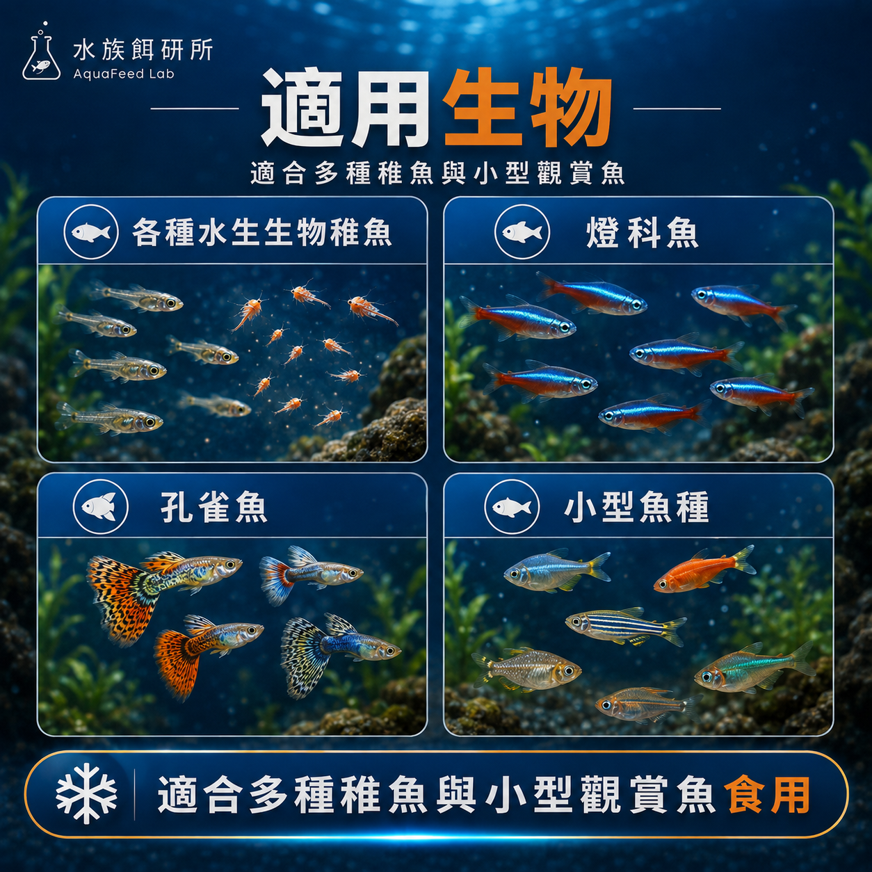冷凍豐年蝦無節（幼蟲）｜天然冷凍生物餌料 商品介紹