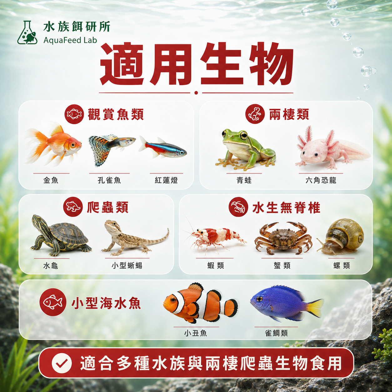 商品詳細說明圖片