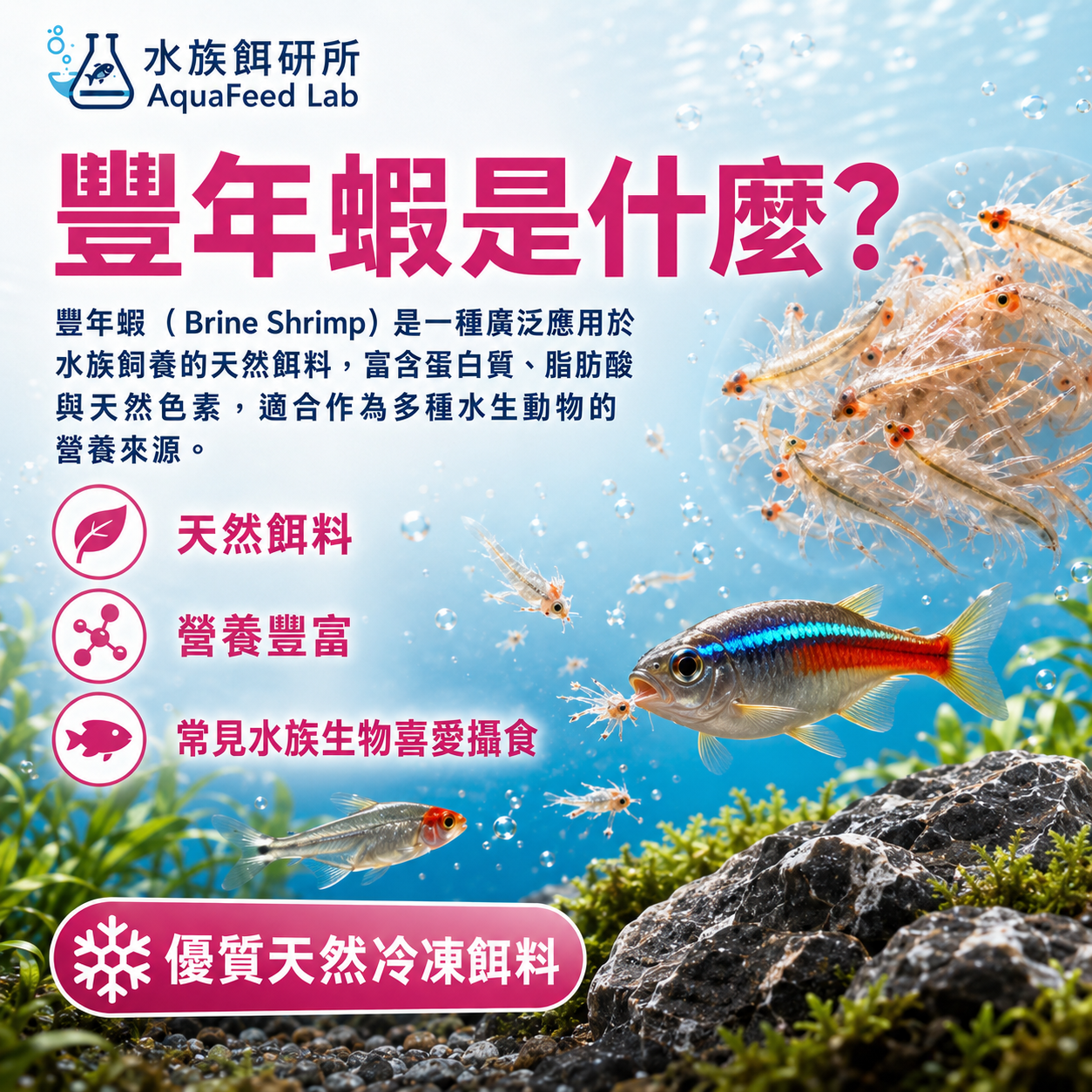 商品詳細說明圖片