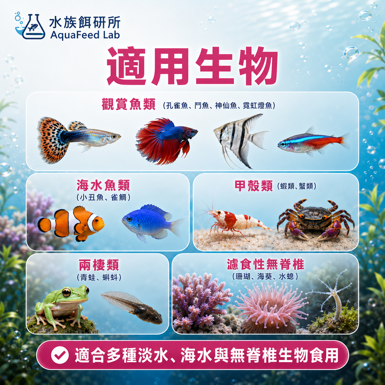 商品詳細說明圖片